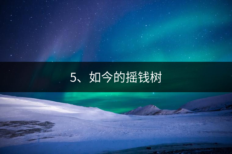 5、如今的搖錢(qián)樹(shù)