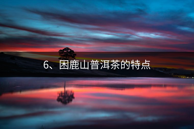 6、困鹿山普洱茶的特點(diǎn)