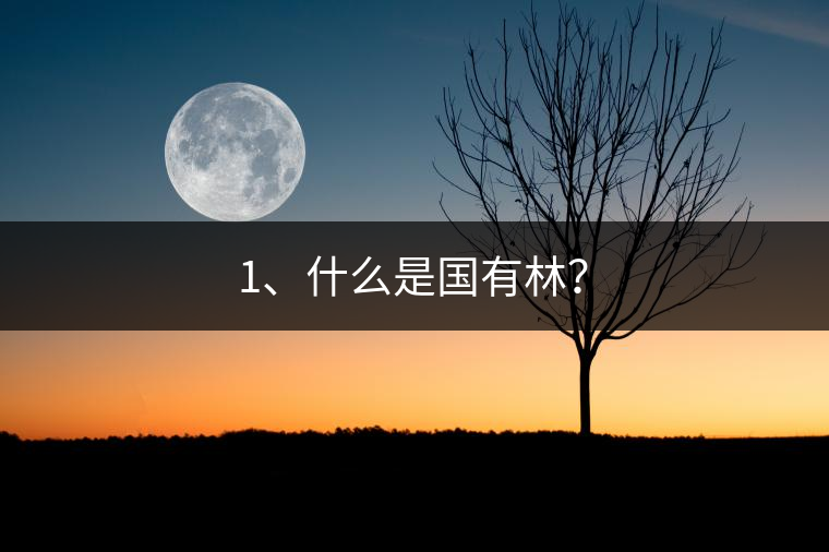 1、什么是國有林？