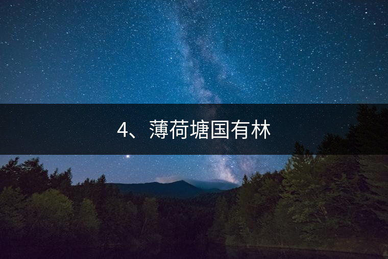 4、薄荷塘國有林