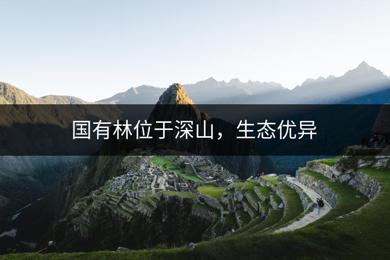 國有林位于深山，生態(tài)優(yōu)異