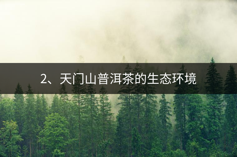 2、天門山普洱茶的生態(tài)環(huán)境