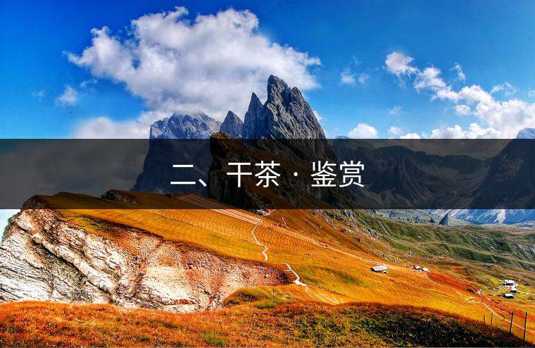 二、干茶 · 鑒賞