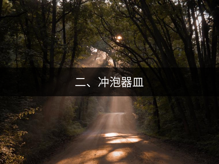 二、沖泡器皿