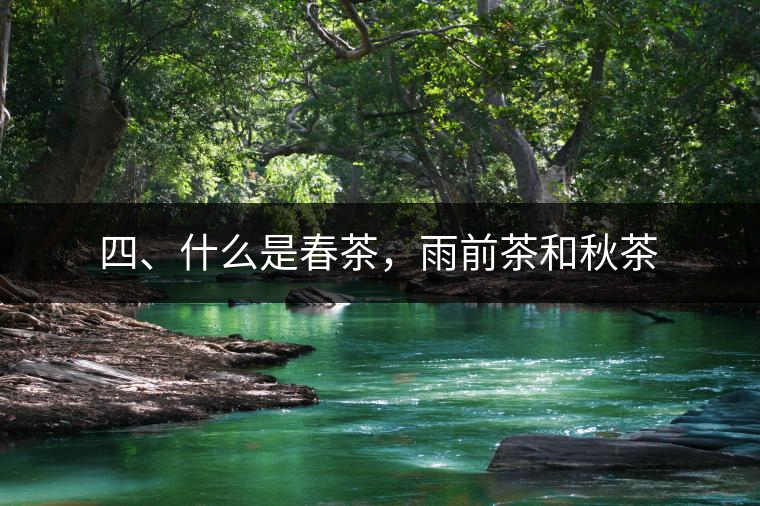 四、什么是春茶，雨前茶和秋茶