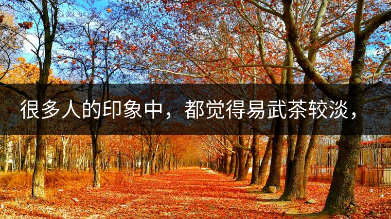 很多人的印象中，都覺(jué)得易武茶較淡，但存放幾年后，再喝又覺(jué)得茶味茶氣變濃了。我們就這個(gè)問(wèn)題，考察了易武古茶山，和走訪了當(dāng)?shù)夭柁r(nóng)。我們發(fā)現(xiàn)這跟易武古樹(shù)茶的茶質(zhì)和茶農(nóng)制茶的傳統(tǒng)工藝有關(guān)。