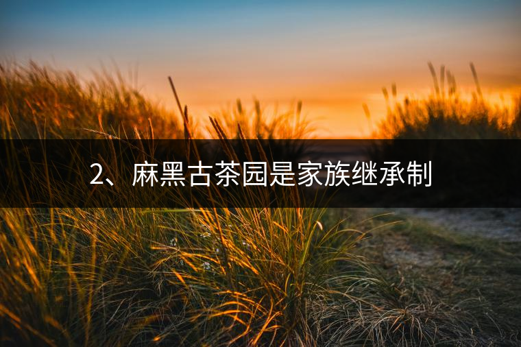 2、麻黑古茶園是家族繼承制