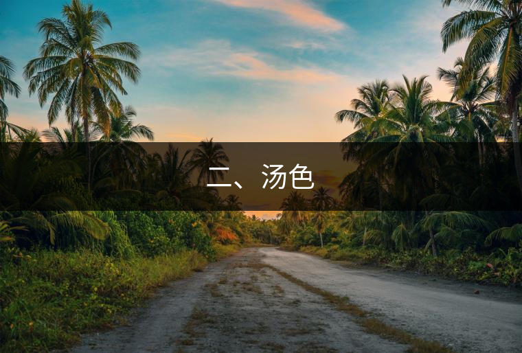 二、湯色