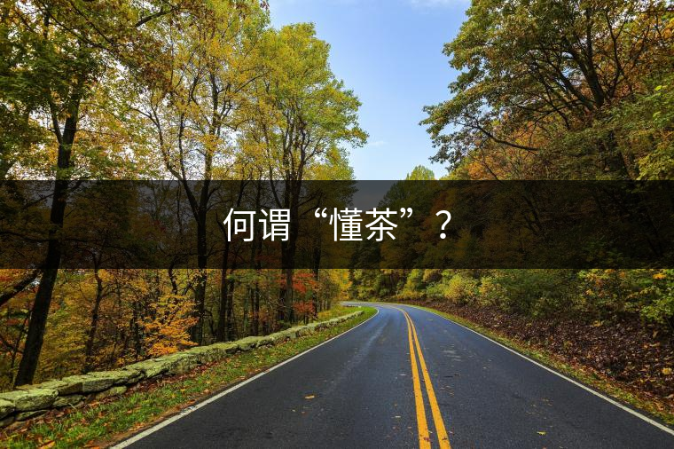 何謂“懂茶”？