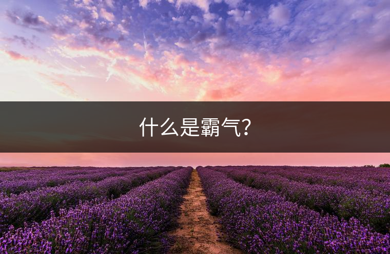 什么是霸氣？