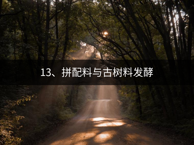 13、拼配料與古樹(shù)料發(fā)酵