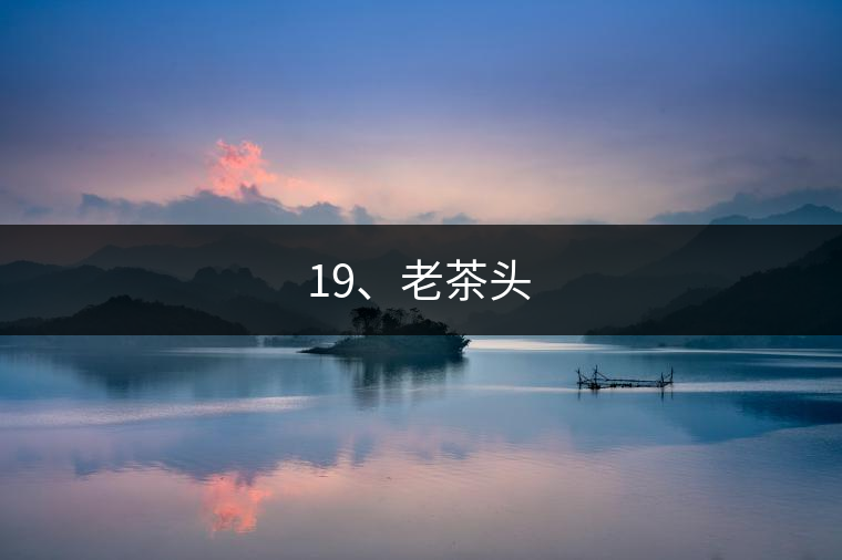 19、老茶頭
