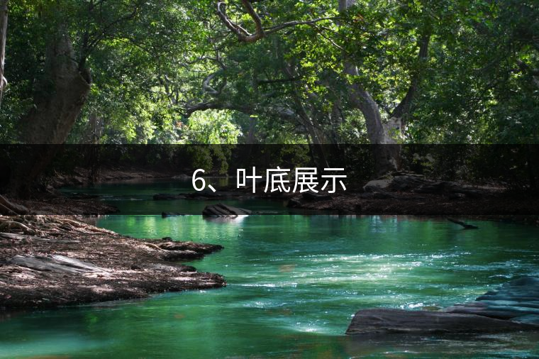 6、葉底展示