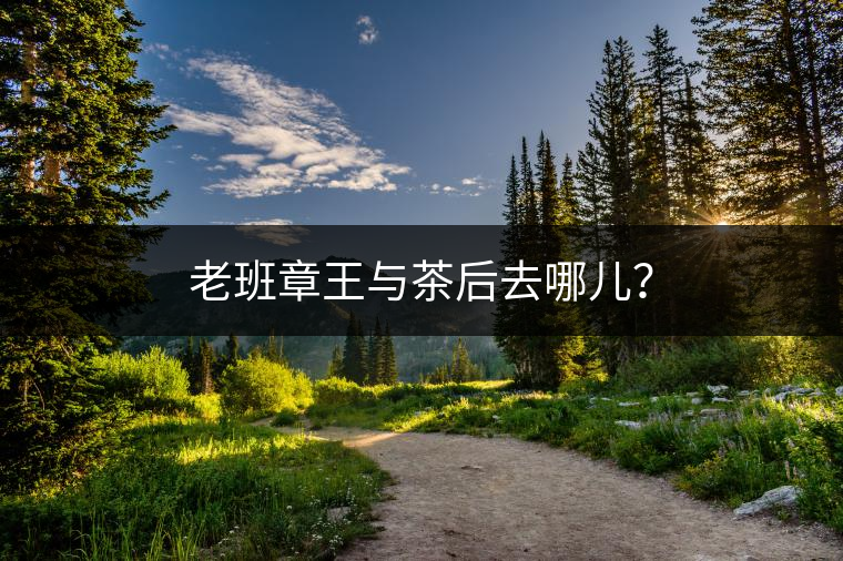 老班章王與茶后去哪兒？