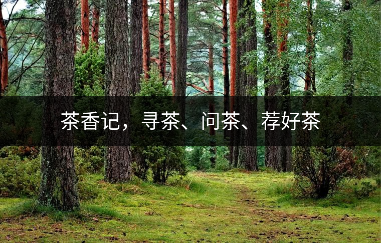 茶香記，尋茶、問茶、薦好茶