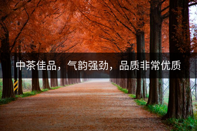 中茶佳品，氣韻強(qiáng)勁，品質(zhì)非常優(yōu)質(zhì)