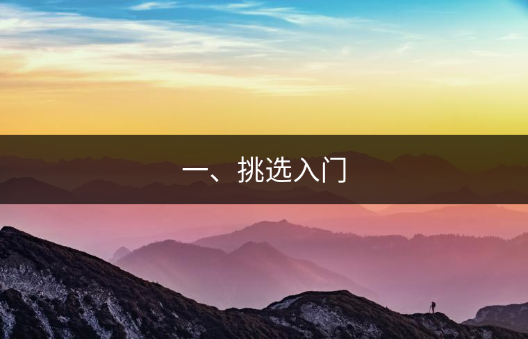 一、挑選入門