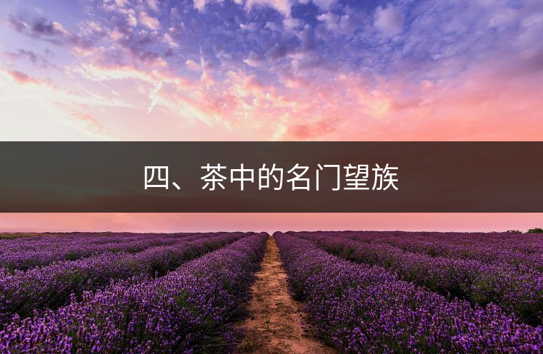 四、茶中的名門望族