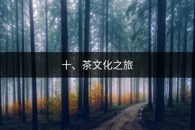 十、茶文化之旅