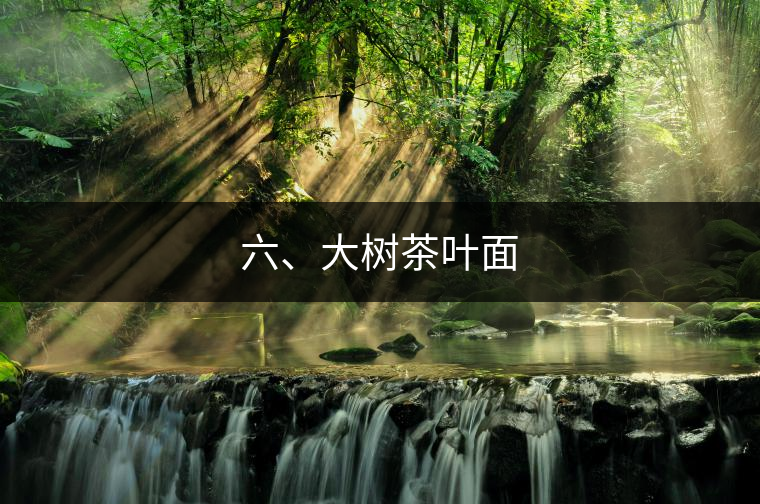 六、大樹茶葉面