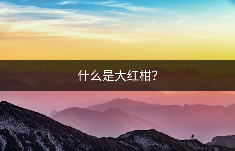 什么是大紅柑？