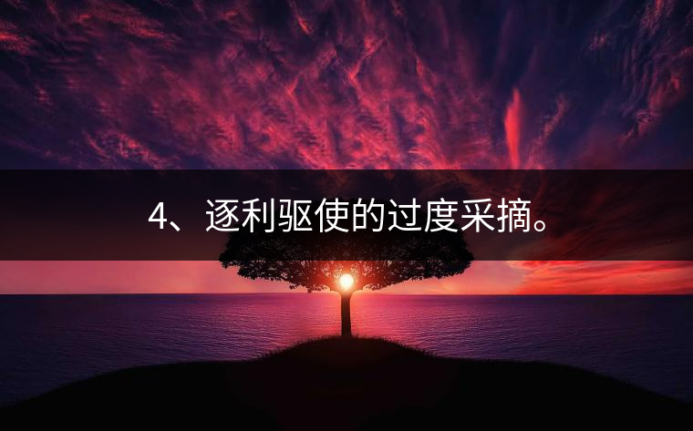 4、逐利驅(qū)使的過度采摘。