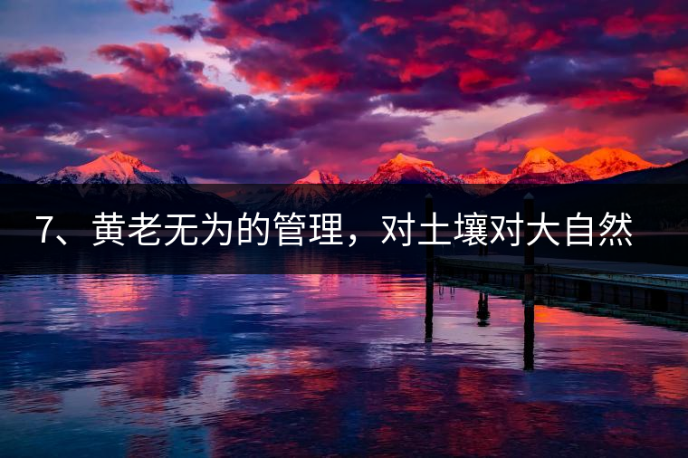 7、黃老無為的管理，對土壤對大自然的過渡依賴，對茶樹根疏忽。