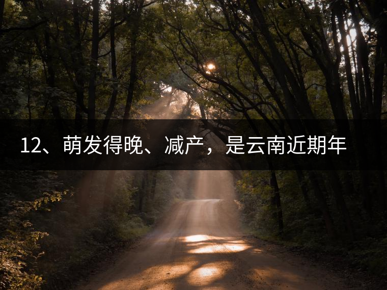 12、萌發(fā)得晚、減產(chǎn)，是云南近期年氣候變化在茶樹上的延遲反映。