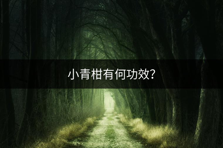 小青柑有何功效？