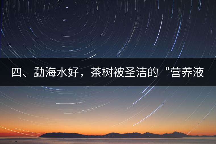 四、勐海水好，茶樹被圣潔的“營養(yǎng)液”所滋養(yǎng)