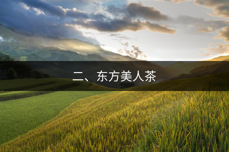 二、東方美人茶