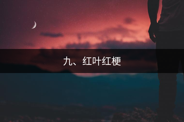 九、紅葉紅梗