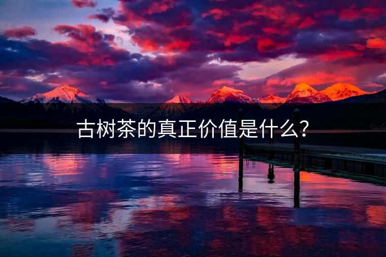 古樹茶的真正價值是什么？