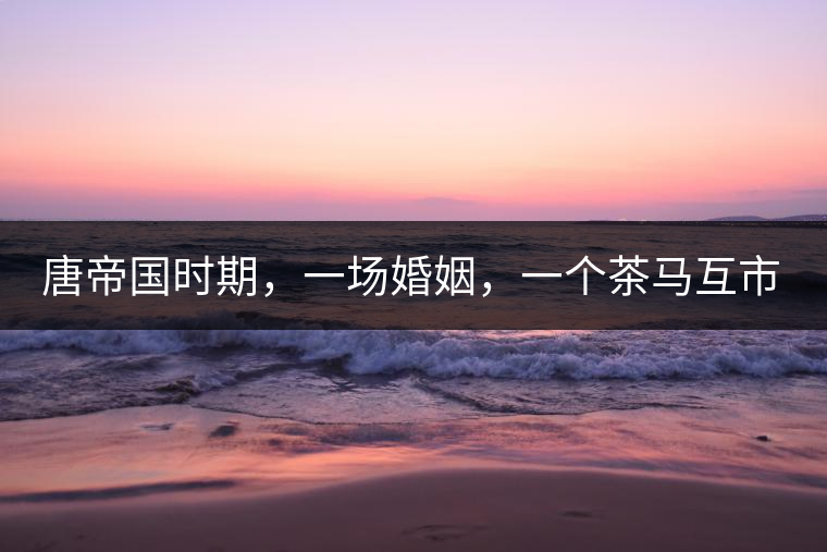 唐帝國時期，一場婚姻，一個茶馬互市，讓這里結(jié)束了漢藏對峙。宋代南茶北，西北茶馬司設(shè)立，因茶而改變的生活日益凸顯。元代八思巴與忽必烈在這一區(qū)域結(jié)盟，為蒙藏兩大民族交往鋪好通衢大道，明代俺答汗與達賴在山海之間追思各自先人，青海人宗喀巴創(chuàng)建的黃教通過蒙、藏兩大領(lǐng)袖的推廣，締造了影響至今的格局。大清經(jīng)過康、雍、乾三代勵精圖治，滿、藏、蒙各自龐大的疆域第一次完整地統(tǒng)轄在中央帝國的版圖下。