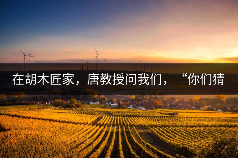 在胡木匠家，唐教授問我們，“你們猜猜他們家的茶放在哪里？”我們回答廚房、客廳都不對，“難道像寺院一樣，有專門的茶房不成？”教授和木匠都哈哈大笑，連連搖頭。在木匠的帶領(lǐng)下，我們來到主人的臥室，茶磚整齊有序地堆放在床頭柜里。一家之主的臥室，既是休息之所，亦是一家財富與傳家寶的收藏地。茶之精貴，毋需多言。