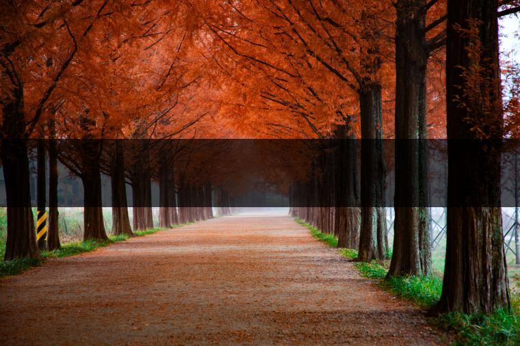 這樣的茶葉邊疆文化，也許是明代大學(xué)者解縉最樂意見到的。他曾說，中原最好的東西就是茶，而番人最好的就是馬。他贊同明廷茶馬互市的國策：茶之于夷人，如同中國之酒醴，因為茶馬貿(mào)易，許多夷人也開始學(xué)習(xí)中國的知識，對中國也有了向慕之心，那么茶的作用就很顯然，茶有著“夷夏之交，義利之辨，寅賓尚忠信而篤敬，河州固唐虞三代之邦也。”
茶不僅僅是一種飲品，還有其他。茶作為媒介，體現(xiàn)了觀念的變化。如今，隨著茶的傳播，各族人民有了更深入往來，通過貿(mào)易、文化、旅游等等。
陳渠珍從西藏抵達湟源區(qū)域時，也為這里的古風(fēng)所震驚：“余皆漢番雜處。風(fēng)俗婦女尚餞足，裙下蓮步不及三寸，服飾既古，文化尤卑，鄰居為私塾，當見一生久讀不能成誦，塾師罰之跪，以草圈罩頭上，頻加籌石，令其跪誦。余見駭然。”

?
（摘自《海峽茶道》，2013年5期）