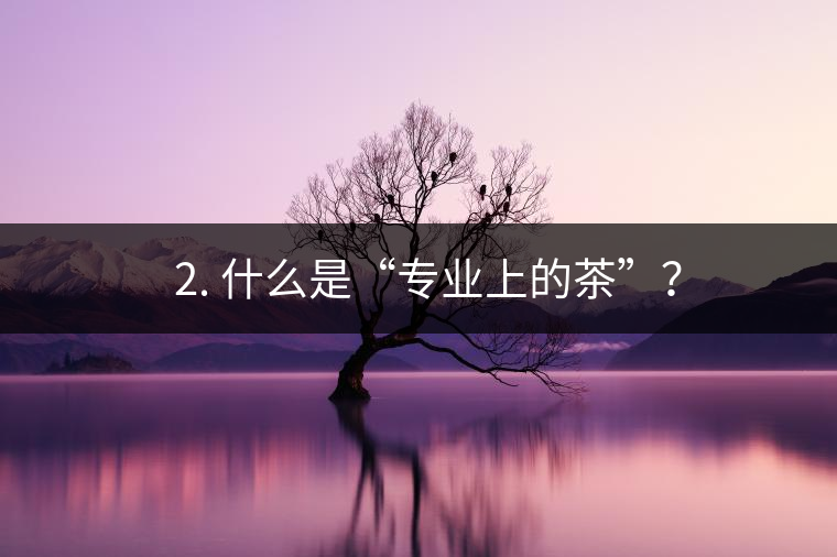 ? 2. 什么是“專業(yè)上的茶”？