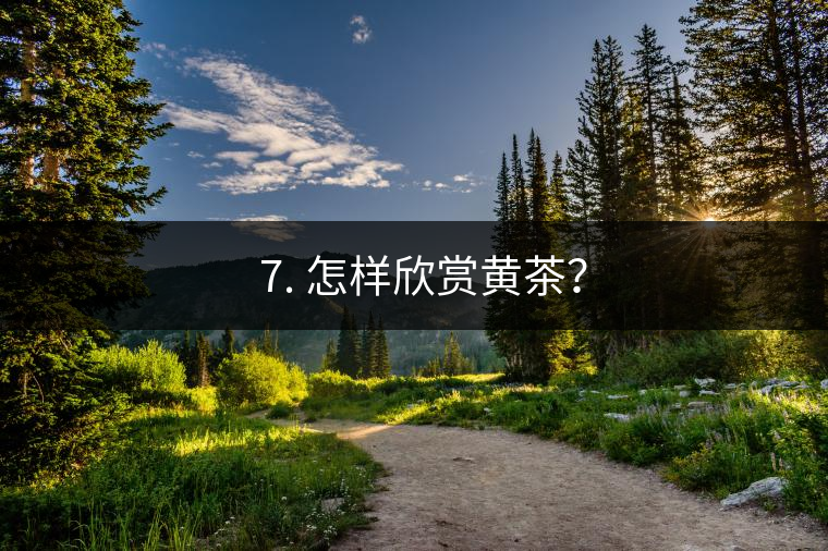 ? 7. 怎樣欣賞黃茶？