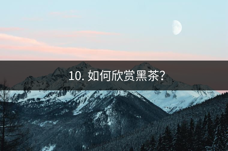 ? 10. 如何欣賞黑茶？