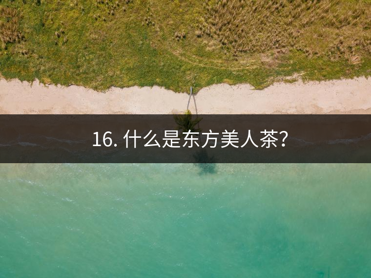 ? 16. 什么是東方美人茶？