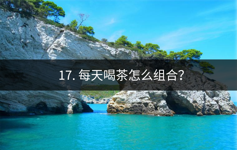 ? 17. 每天喝茶怎么組合？