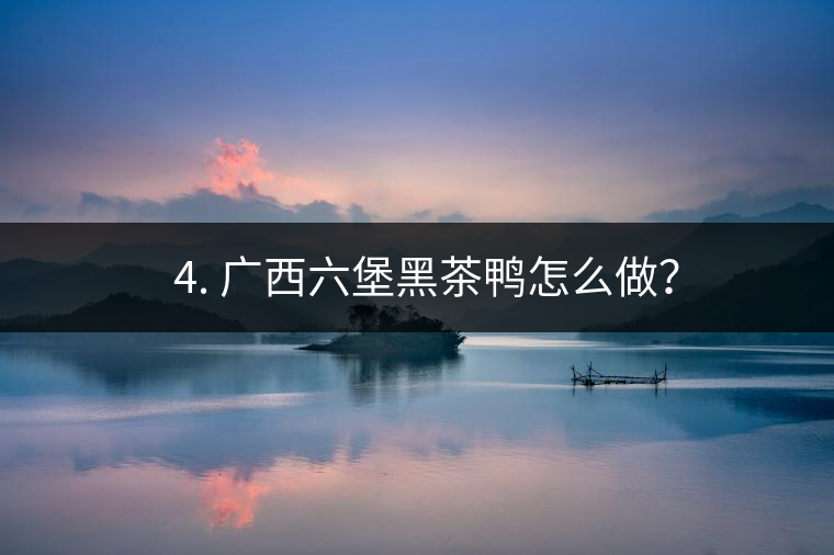 ? 4. 廣西六堡黑茶鴨怎么做？