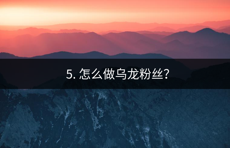 ? 5. 怎么做烏龍粉絲？