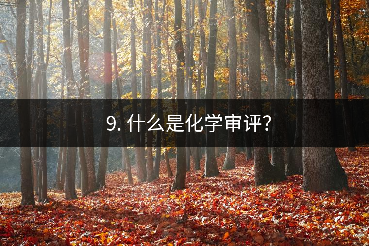 ? 9. 什么是化學(xué)審評？