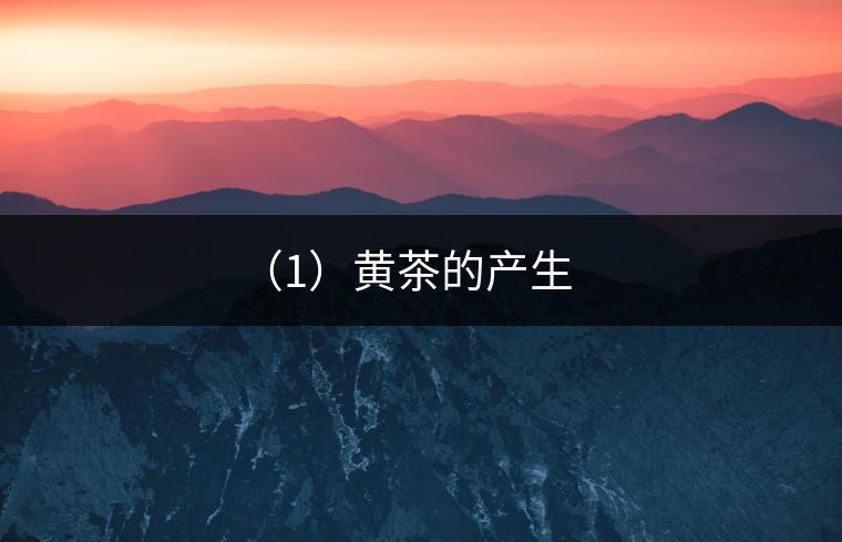 （1）黃茶的產(chǎn)生