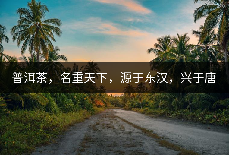 普洱茶，名重天下，源于東漢，興于唐宋，盛于明清。