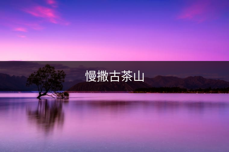 慢撒古茶山 慢撒古茶山