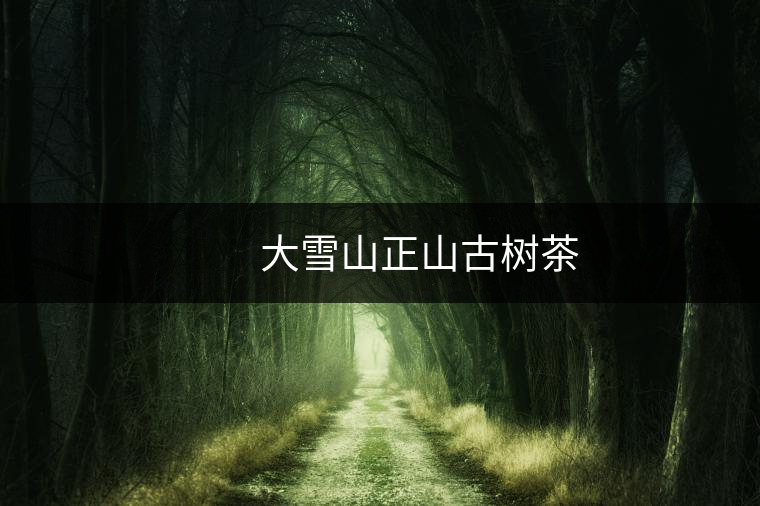 大雪山正山古樹(shù)茶 大雪山正山古樹(shù)茶