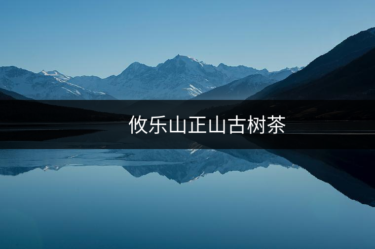 攸樂(lè)山正山古樹(shù)茶 攸樂(lè)山正山古樹(shù)茶