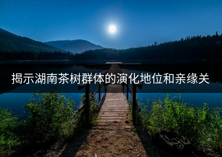 揭示湖南茶樹(shù)群體的演化地位和親緣關(guān)系